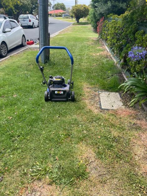 Bear Abilities - Skills Development